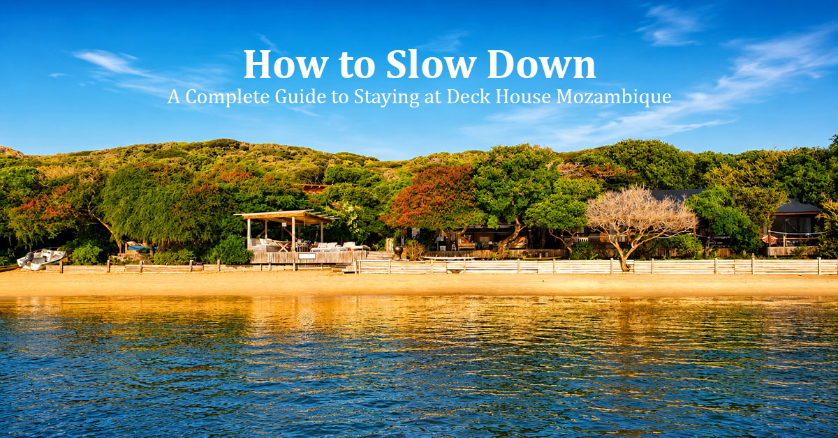 Read more about the article A Complete Guide to Staying at Deck House Mozambique